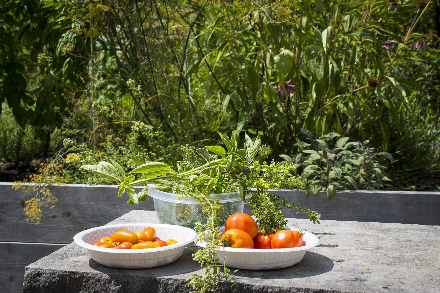 garden25-3