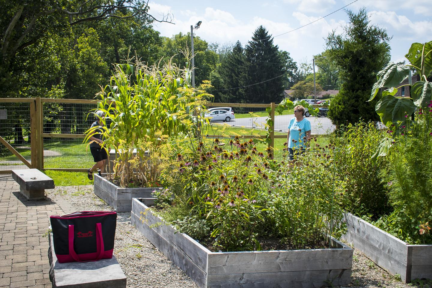 garden25-1